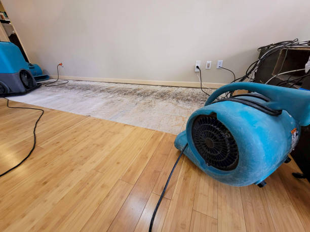 Professional Water Removal technician working in Raymond, NH
